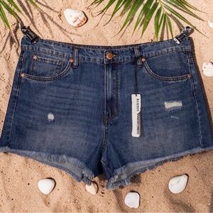 🎁 See thru Soul NWT Shorts Size 31 💖